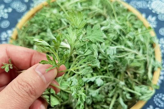 3 món ngon từ loại rau giúp phụ nữ trẻ mãi không già