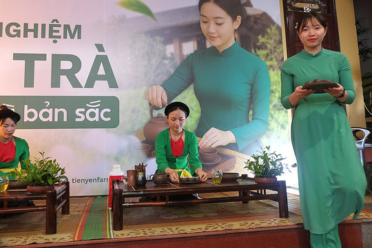 Đa dạng sản phẩm du lịch với chủ đề “Trải nghiệm xứ trà – đậm đà bản sắc”