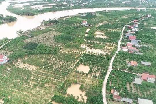 VIDEO: HÀ NỘI DỒN LỰC SẢN XUẤT NÔNG NGHIỆP SAU SỐ 03