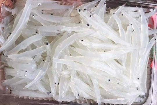 Cá ngần sông Đà làm những món gì ngon?