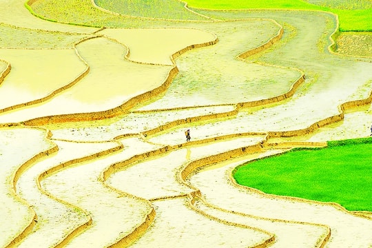 Khám phá ruộng bậc thang Mù Cang Chải mùa nước đổ