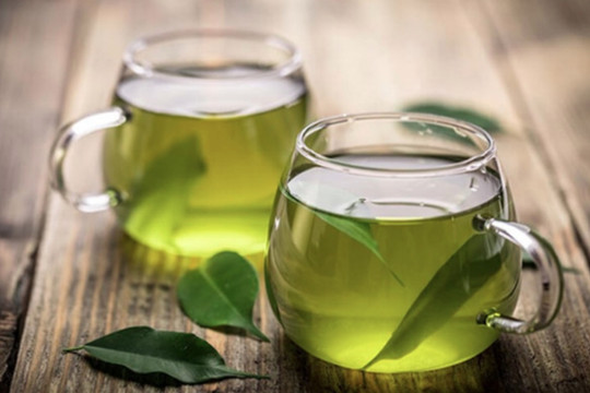 Lá vối được giới Đông y đánh giá cao về tác dụng chữa bệnh