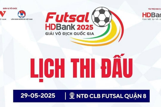 Lịch thi đấu bóng đá Việt Nam hôm nay 29/5