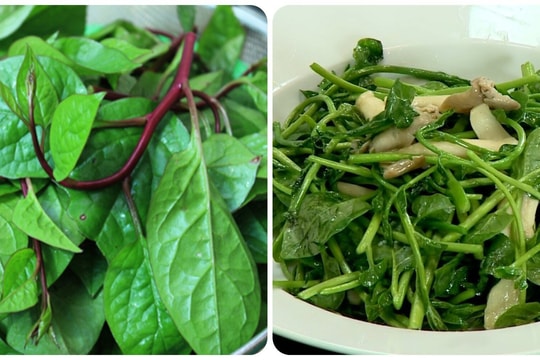 5 nhóm người không nên ăn rau mồng tơi