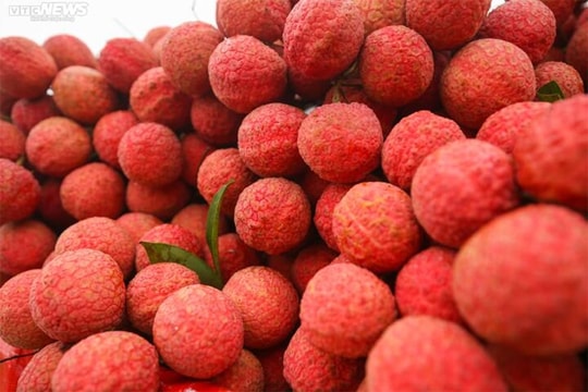 Mách bạn cách chọn vải thiều ngon