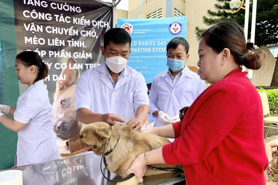 Thêm một ca tử vong do bệnh dại tại Gia Lai