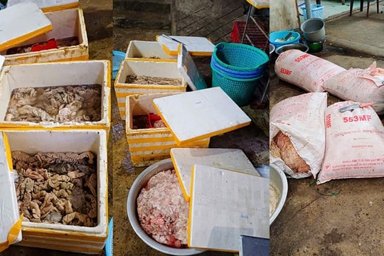 Phạt cơ sở xả thải ô nhiễm, tàng trữ nội tạng động vật không rõ nguồn gốc