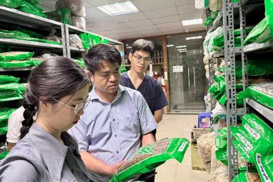 Bộ Y tế yêu cầu tiêu hủy hơn 800 ống thuốc điều trị bệnh lý thần kinh