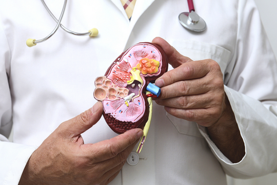 6 thói quen vào buổi sáng giúp bảo vệ thận