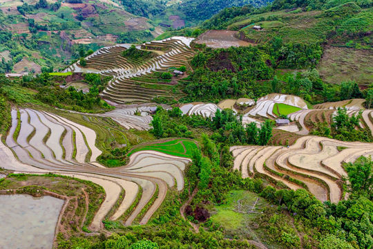 Ngỡ ngàng trước vẻ đẹp mùa nước đổ trên ruộng bậc thang ở Lào Cai