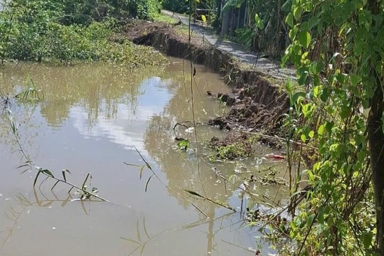 Hậu Giang tăng cường ứng phó với nguy cơ mưa lớn, sạt lở đất