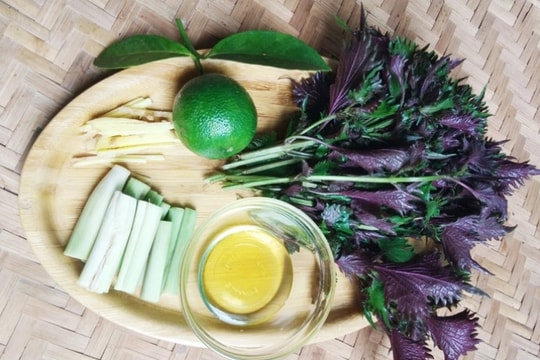 Hai bài thuốc từ lá tía tô nấu với gừng không phải ai cũng biết