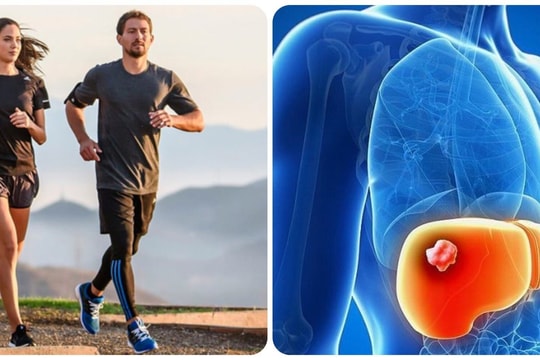 Cách phòng ngừa ung thư gan và các bệnh về gan