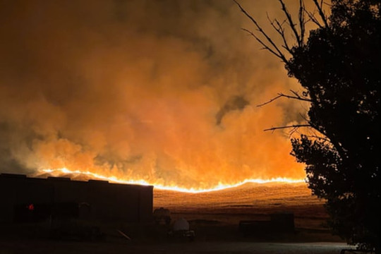 Mỹ: Cháy rừng bùng phát dữ dội ở California, cấp tốc sơ tán 200 người