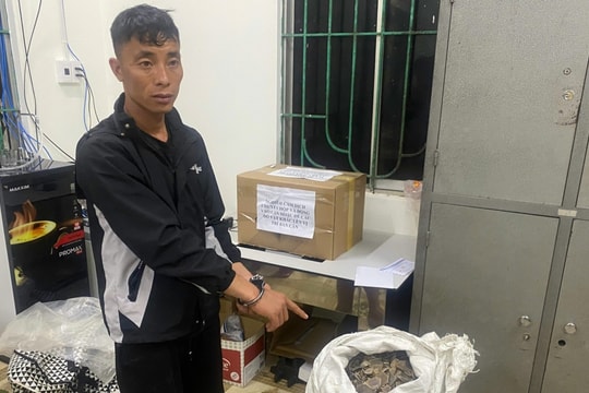 Bắt giữ đối tượng vận chuyển vảy tê tê và heroin