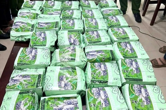Bắt giữ 3 đối tượng trong đường dây ma túy xuyên quốc gia, thu 60 bánh heroin