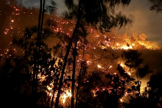 Gần 100 người xuyên đêm khống chế đám cháy rừng keo hơn 10 hecta