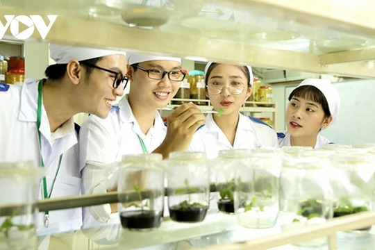 Các ngành khoa học cơ bản là cột móng để hiện thực hóa Nghị quyết 57
