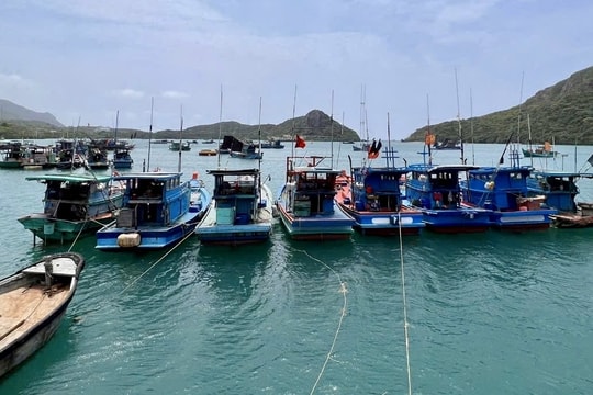 Côn Đảo rà soát tàu thuyền du lịch, bảo đảm an toàn cho du khách