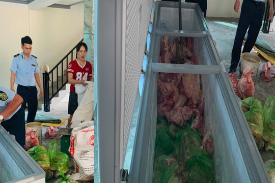 Bắt 4 người ở Thanh Hoá bán thịt lợn có virus dịch tả lợn châu Phi
