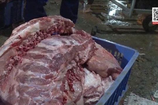 Thịt lợn nhiễm dịch tả châu Phi: Ăn vào nguy hiểm như thế nào?