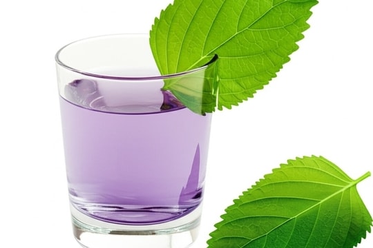 Bài thuốc dân gian chữa nhiều bệnh từ lá tía tô