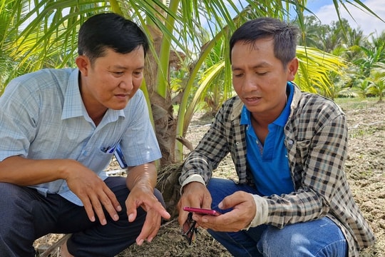 Nông dân Khmer chuyển đổi số đưa nông nghiệp lên tầm cao mới