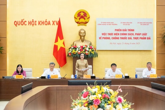 Thứ trưởng Bộ Y tế: Thuốc giả của Việt Nam ở mức thấp so với trung bình thế giới