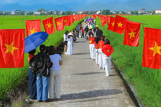 Rực rỡ “con đường cờ Tổ quốc” giữa cánh đồng Mường Thanh chào mừng Quốc khánh 2/9