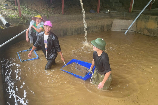 Tập trung khắc phục hậu quả mưa lũ tại Ngũ Chỉ Sơn, Sa Pa
