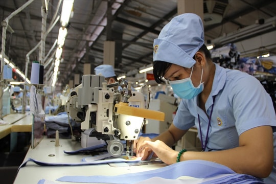 Đề xuất các trường hợp chấm dứt hưởng trợ cấp thất nghiệp