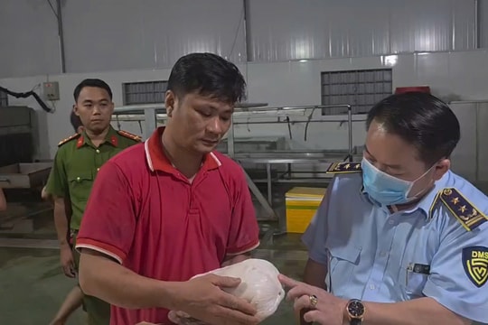 Xử phạt hộ kinh doanh lưu trữ hơn 100 tấn thịt lợn không rõ nguồn gốc ở Gia Lai