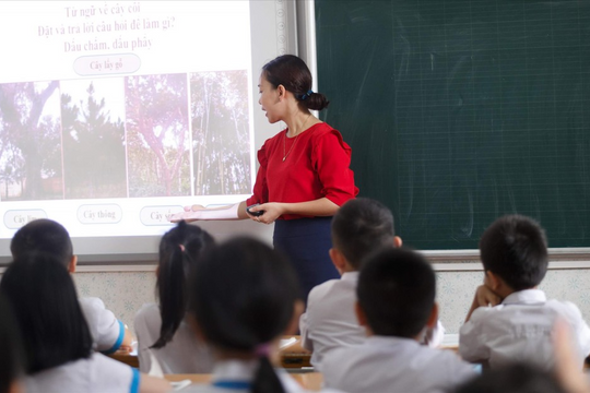 Lương giáo viên phổ thông dự kiến cao nhất gần 18 triệu đồng/tháng