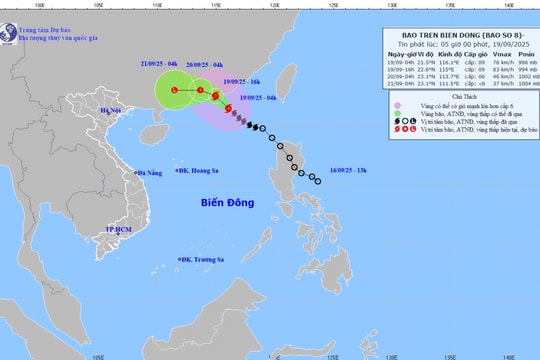 Bão số 8 di chuyển theo hướng Tây Bắc, tốc độ 15km/h