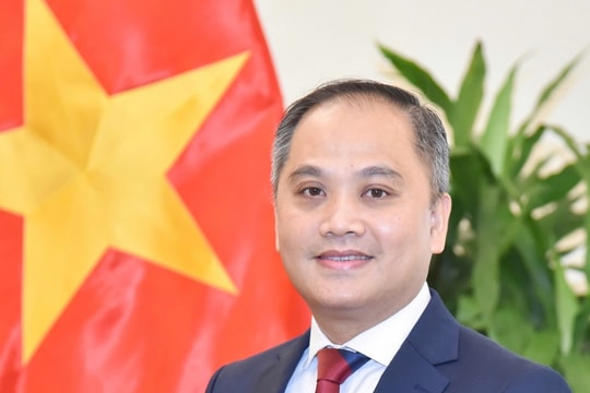 Việt Nam - New Zealand thúc đẩy quan hệ đối tác chiến lược toàn diện