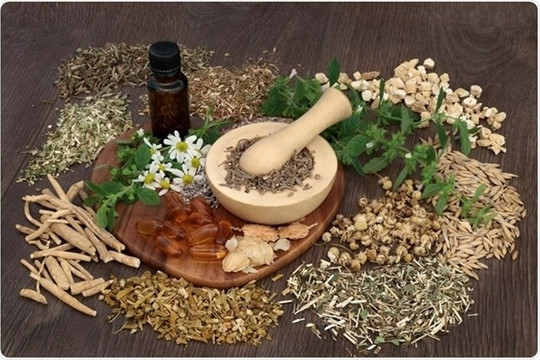 6 vị thuốc tự nhiên giúp ngăn ngừa tăng huyết áp cực hiệu quả ít người biết