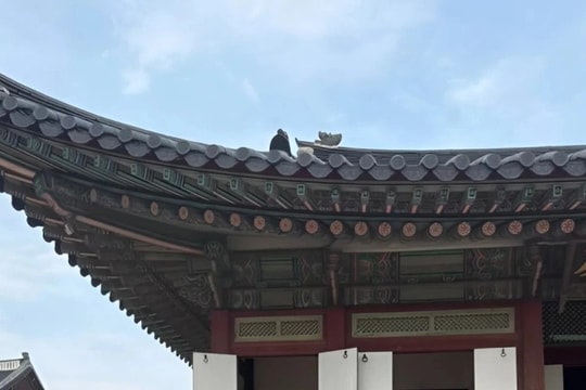 Sao Việt 22/9: Hoa hậu Đỗ Mỹ Linh hạnh phúc bên chồng con khi du lịch Hàn Quốc