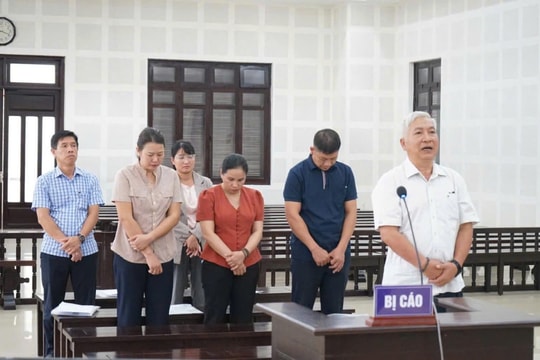 Lập khống 319 chuyến cano, nguyên Giám đốc Cảng vụ Hàng hải Quảng Nam lĩnh án