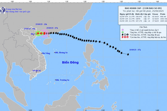 Bão số 9 cách Móng Cái (Quảng Ninh) khoảng 100km, nhiều nơi bắt đầu có mưa lớn