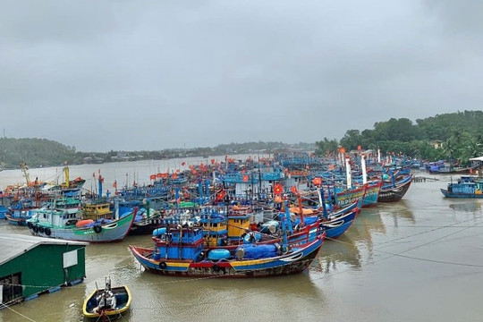 Chủ tàu cá ở Quảng Ngãi bị tước chứng chỉ, phạt 680 triệu đồng vì nhiều vi phạm