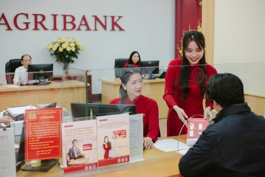 Agribank đẩy mạnh sắp xếp tổ chức mạng lưới theo hướng tăng cường dư địa cho phát triển “tam nông”
