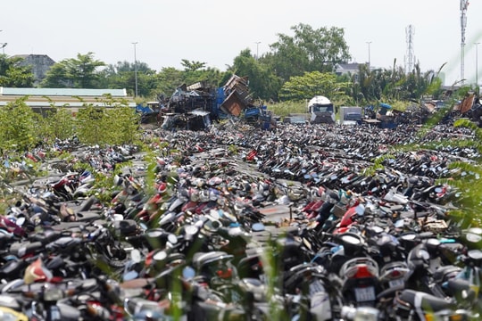 TP.HCM đấu giá thành công hơn 1.600 phương tiện vi phạm, thu hơn 3 tỷ đồng