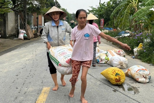 Thóc ướt sũng ngâm nước 3 ngày, người dân vùng lũ nỗ lực cứu vớt từng hạt