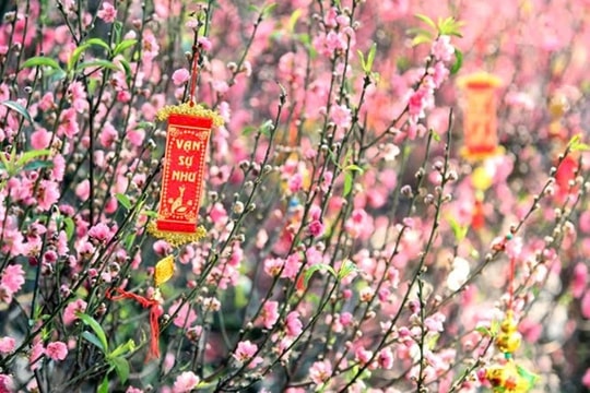 Chính thức: Lịch nghỉ Tết Nguyên đán và Quốc khánh năm 2026