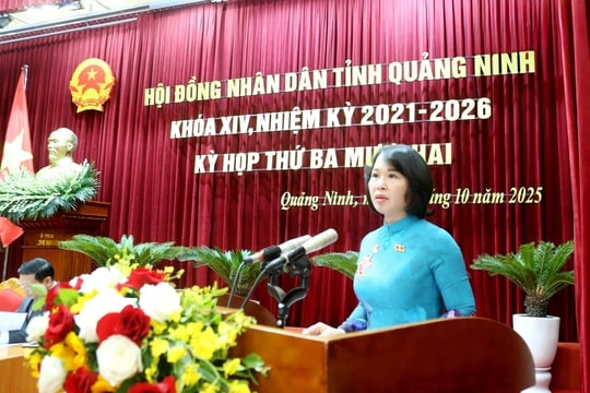 Quảng Ninh: Dành nguồn thu từ phí sử dụng đất, tham quan danh thắng để chi đầu tư