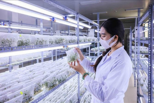 Từ Nghị quyết 57 đến khát vọng hùng cường: Chuyển đổi số làm thay đổi đất nước