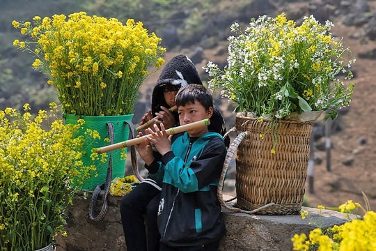 Du khách nước ngoài phấn khích với hành trình xe máy trên cao nguyên đá