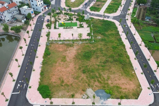 Thị trường đất đấu giá hạ nhiệt sau cơn sốt điên cuồng hơn 1 năm trước