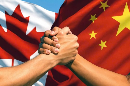 Canada có thể sắp gỡ bỏ thuế nhập khẩu đối với ô tô điện Trung Quốc