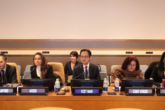 Việt Nam thúc đẩy Hiệp định về đa dạng sinh học tại các vùng biển quốc tế
